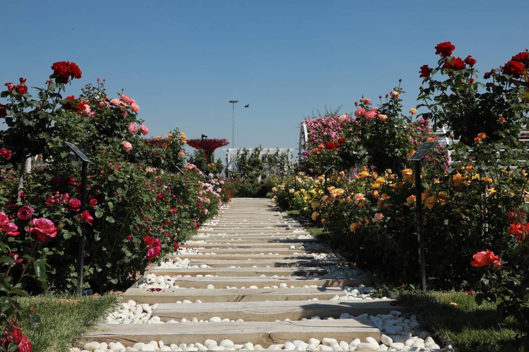 Doğanın en güzel tonları Karatay’da! Her detayıyla hayran bırakıyor 18